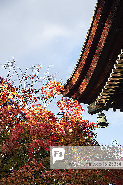 Bright orange acer leaves next to a bell and the wooden roof of the Hida Kakubun-ji Pagoda in Takayama Japan Asia