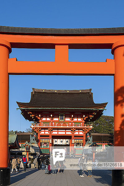 Fushimi Inari Taisha-Schrein und Torii-Tore  Kyoto  Japan  Asien