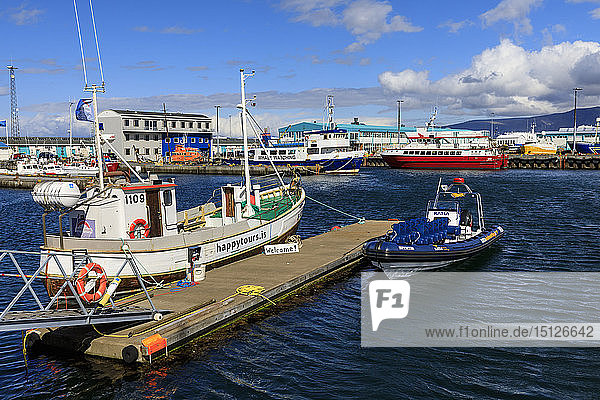 Bunte Ausflugsboote im alten Hafen von Reykjavik  Willkommensschild  blaues Meer und Sommerhimmel  Reykjavik  Island  Polarregionen