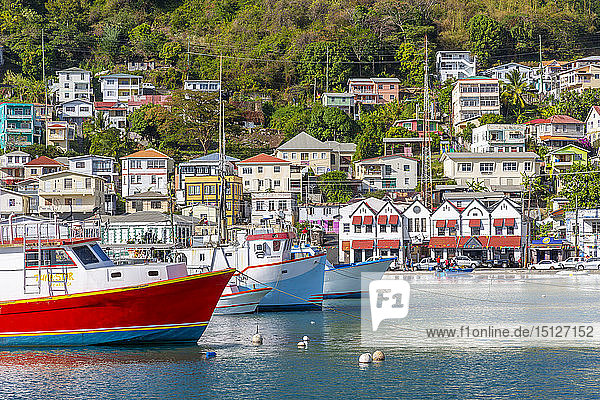 Colourful boats and houses on the Carenage of St. George's  Grenada  Windward Islands  West Indies  Caribbean  Central America