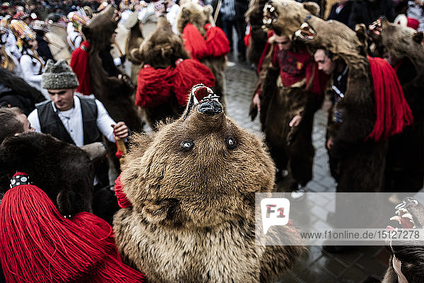 New Year Bear Dancing Festival  Comanesti  Moldova  Romania  Europe