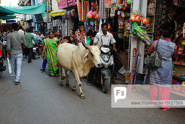 Belebte Einkaufsstraße auf dem Markt  mit heiliger Kuh  Mandvi  Gujarat  Indien  Asien