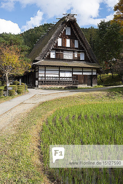 Nishiokas house a traditional thatched building and a rice field at Hida Folk Village Hida No Sato Takayama Honshu Japan Asia