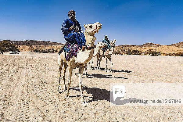 Tuaregs riding on their camels  near Tamanrasset  Algeria  North Africa  Africa
