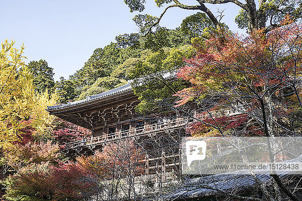 Shoshazan Engyo-ji temple on Mount Shosha  Himeji  Kansai  Japan  Asia