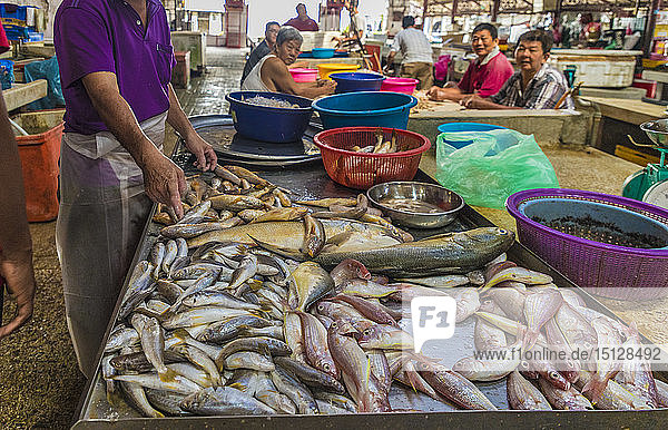 Fish stall in Campbell Street Market within George Town  UNESCO World Heritage Site  Penang  Malaysia  Southeast Asia  Asia