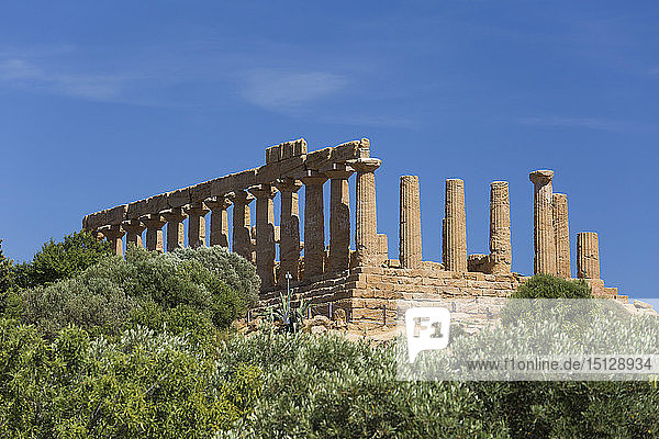 Blick über die Bäume auf den auf einem Hügel gelegenen Hera-Tempel (Juno-Tempel) im von der UNESCO zum Weltkulturerbe erklärten Tal der Tempel  Agrigento  Sizilien  Italien  Mittelmeer  Europa