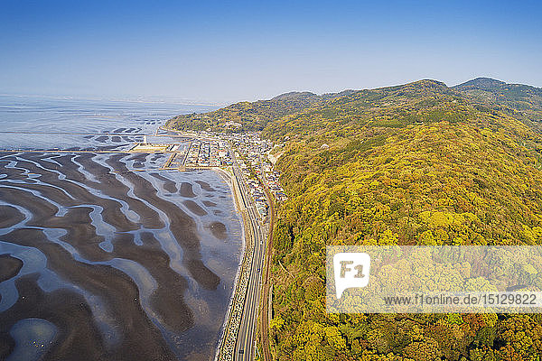 Amakusa forest and low tide beach  Kumamoto Prefecture  Kyushu  Japan  Asia