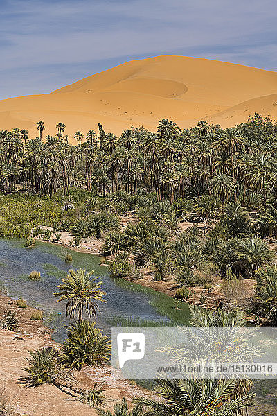 View over the Oasis of Taghit western Algeria North Africa Africa