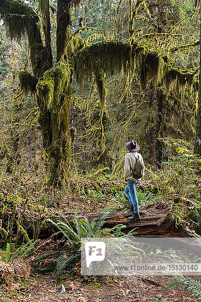 Hall of Mosses Regenwald  Olympic National Park  UNESCO-Weltkulturerbe  Bundesstaat Washington  Vereinigte Staaten von Amerika  Nordamerika