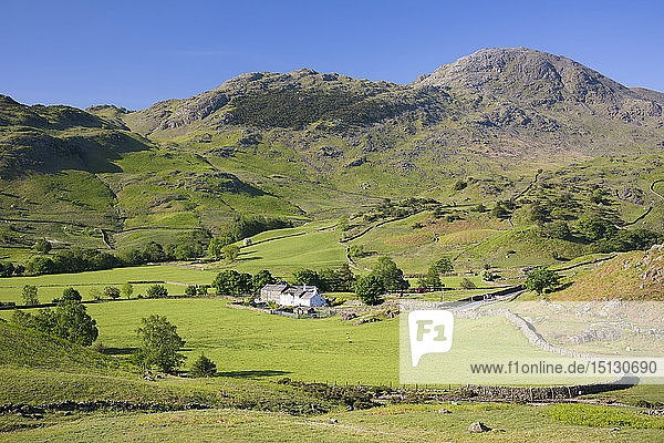 View across valley floor to Fell Foot Farm and Wetherlam  Little Langdale  Lake District National Park  UNESCO World Heritage Site  Cumbria  England  United Kingdom  Europe