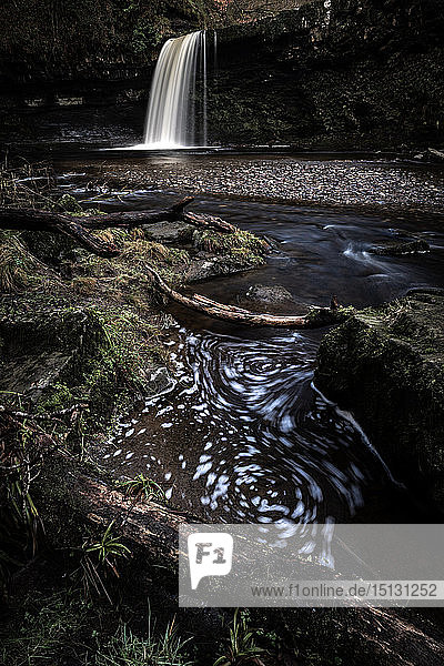 Sgwd Gwladus Wasserfall  Pontneddfechan  Brecon Beacons  Powys  Wales  Vereinigtes Königreich  Europa