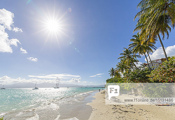 La Datcha Beach  Pointe-a-Pitre  Guadeloupe  Französische Antillen  Westindien  Karibik  Mittelamerika