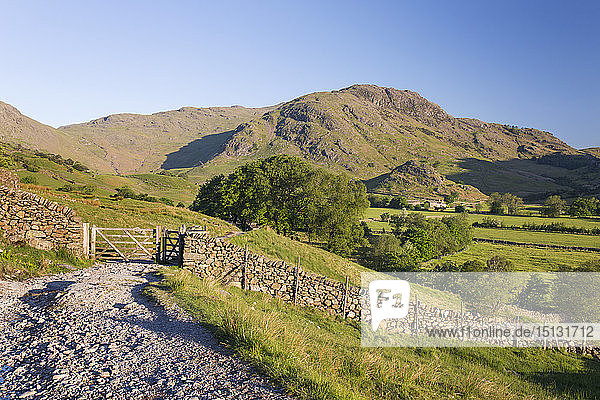 View along track towards Wrynose Fell  early morning  Little Langdale  Lake District National Park  UNESCO World Heritage Site  Cumbria  England  United Kingdom  Europe