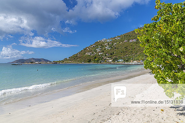 View of Cane Garden Bay Beach  Tortola  British Virgin Islands  West Indies  Caribbean  Central America