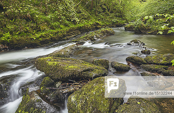 Der Fluss East Lyn fließt durch ein altes Waldgebiet bei Watersmeet in der Nähe von Lynmouth im Exmoor-Nationalpark  Devon  England  Vereinigtes Königreich  Europa