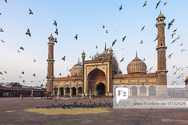 Früher Morgen in Jama Masjid  Alt-Delhi  Indien  Asien