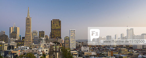 Blick auf die Stadt und die Transamerica Pyramid vom Coit Tower  San Francisco  Kalifornien  Vereinigte Staaten von Amerika  Nordamerika