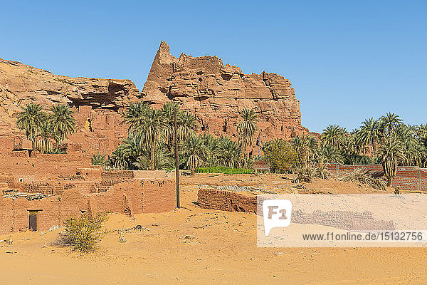 Old ksar  old town in the desert  near Timimoun  western Algeria  North Africa  Africa