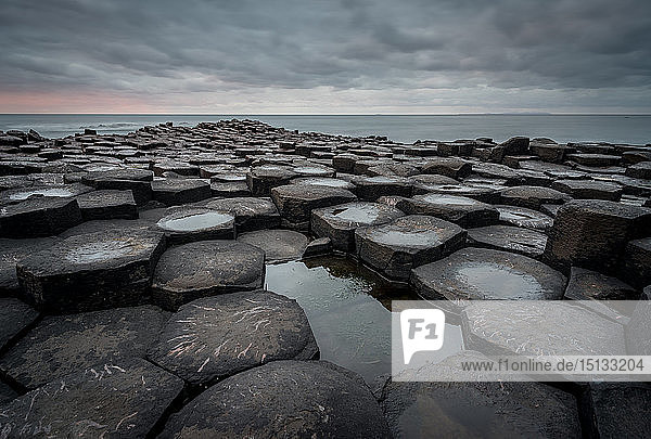 Basaltsäulen des Giant's Causeway bei Sonnenuntergang  UNESCO-Weltkulturerbe  County Antrim  Nordirland  Vereinigtes Königreich  Europa