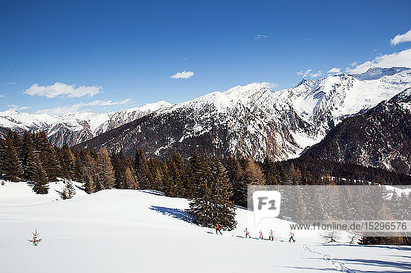 Reifes Paar und Töchter beim Schneeschuhwandern in schneebedeckter Berglandschaft  Fernsicht  Steiermark  Tirol  Österreich