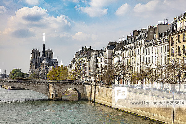 Szenische Ansicht der Kathedrale Notre-Dame am Wasser  Paris  Frankreich