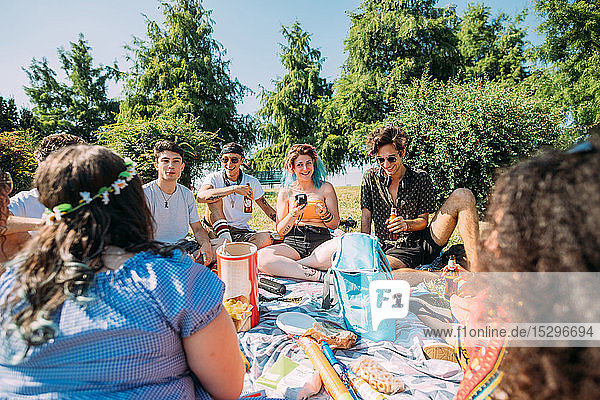 Group of friends relaxing at picnic in park
