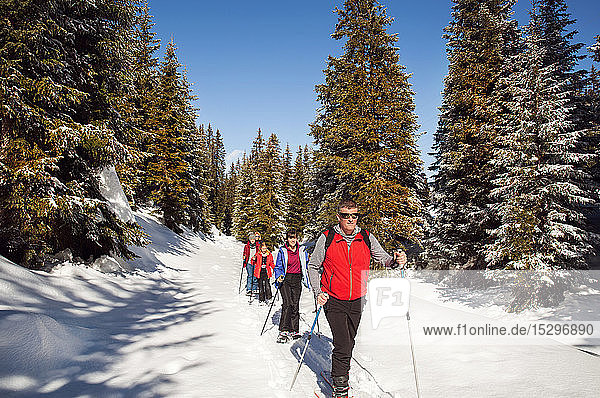 Mature couple and daughters snowshoeing in snow covered forest landscape  Styria  Tyrol  Austria
