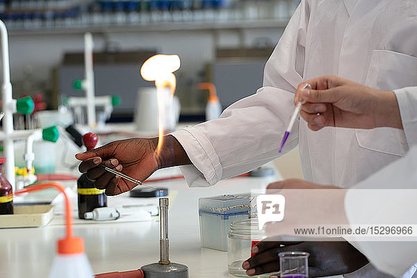 Young male and female scientists using pipette and bunsen burner in laboratory experiment cropped