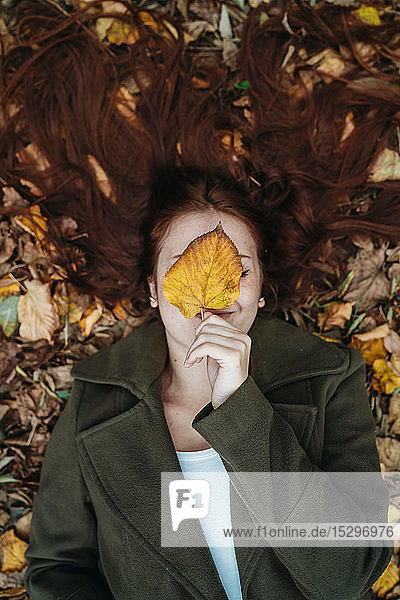 Junge Frau mit langen roten Haaren zwischen Herbstblättern liegend und das Gesicht mit Herbstblatt bedeckend  Überkopfporträt