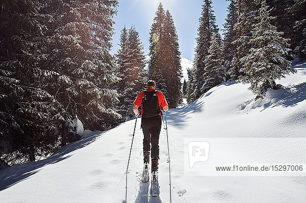 Mature man snowshoeing in snow covered mountain forest  rear view  Styria  Tyrol  Austria