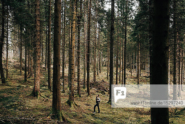 Frau bewundert Bäume  Trossachs-Nationalpark  Schottland