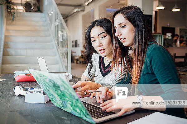 Zwei junge Geschäftsfrauen bei der Fernarbeit  die sich im Café einen Laptop anschauen