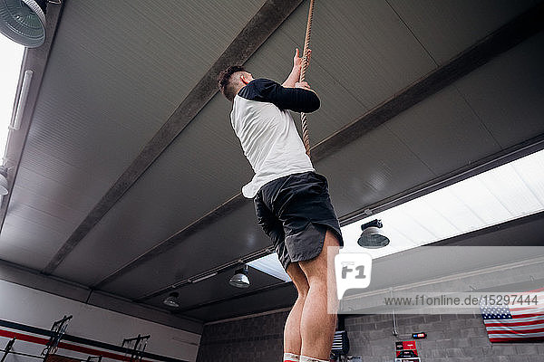 Young man training  climbing up exercise rope in gym  low angle view
