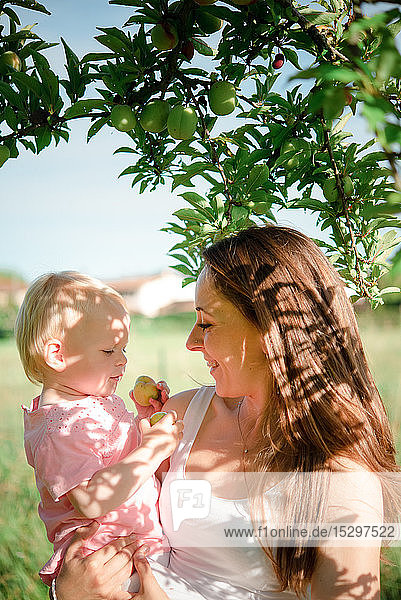 Mother gazing at toddler daughter under fruit tree  Arezzo  Tuscany  Italy