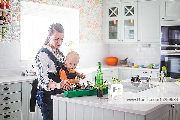 Berufstätige Mutter pflanzt Pflanzen in Container  während sie ihre Tochter in der Küche zu Hause trägt