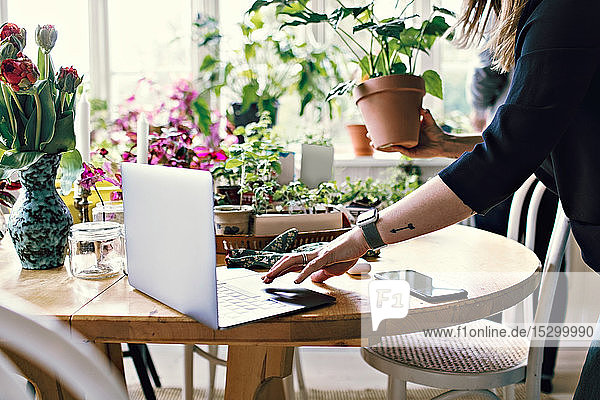 Midsection of woman using laptop while holding potted plant at home