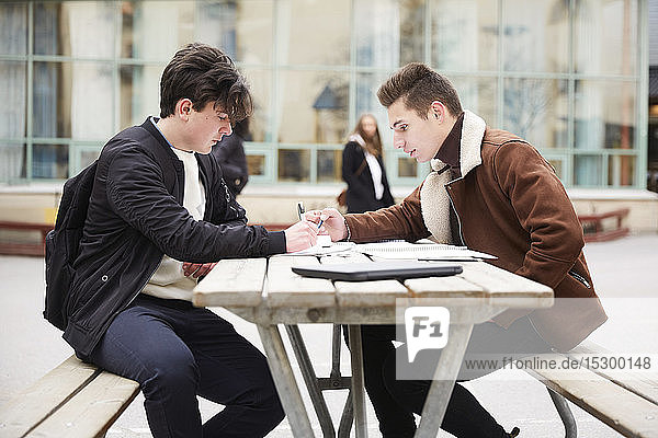 Male teenage friends studying at table in schoolyard