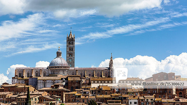 Dom von Siena  Siena  Toskana  Italien  Europa
