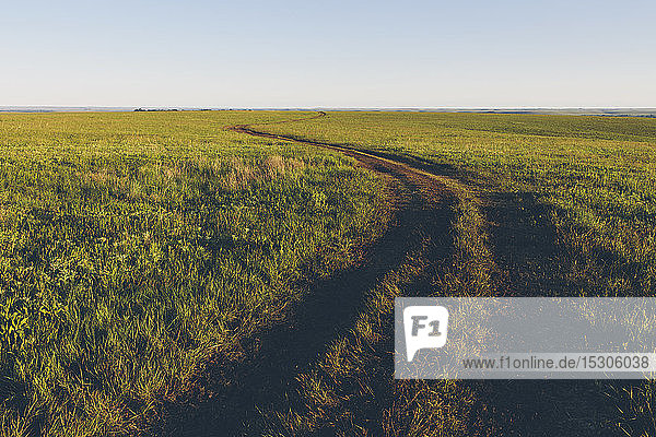 Blick über die weite offene Fläche des Tallgrass Prairie Preserve im Frühling  mit üppigem Gras und einem gut genutzten Weg.