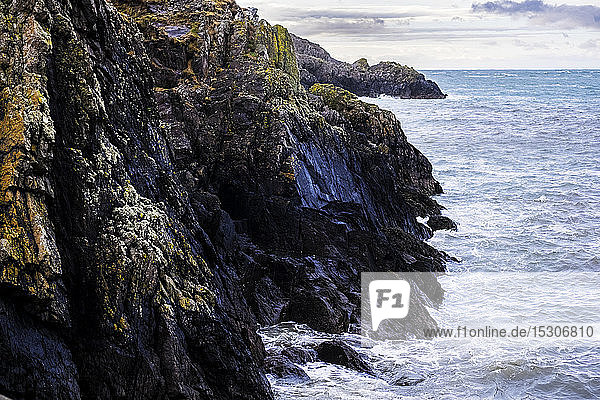 Blick auf schroffe Klippen entlang der Küste des Pembrokeshire National Park  Wales  Großbritannien.