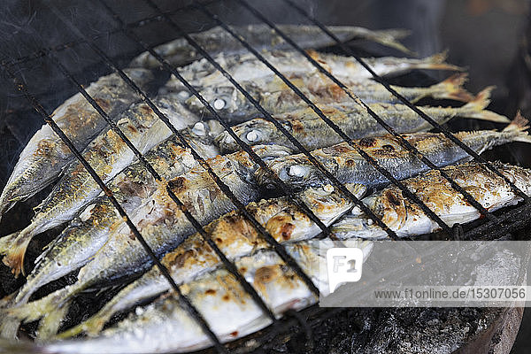 Ganze Sardinen auf dem Barbecue-Grill
