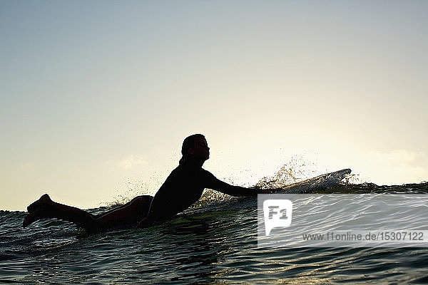 Silhouette weibliche Surferin paddelt hinaus