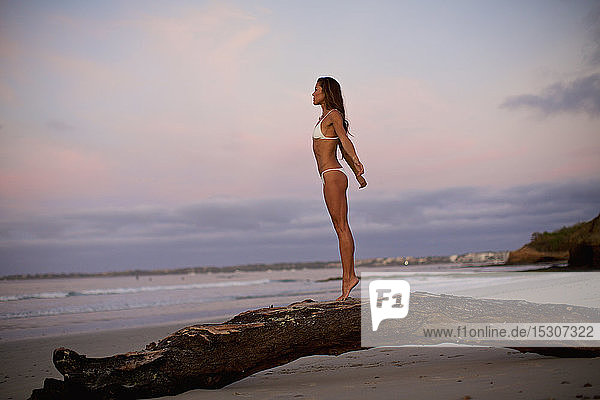 Unbeschwerte Frau im Bikini steht auf Treibholz am Strand in der Abenddämmerung