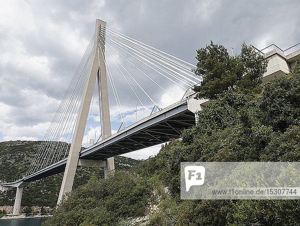 Hoch aufragende Franjo Tudjman-Brücke  Dubrovnik  Kroatien