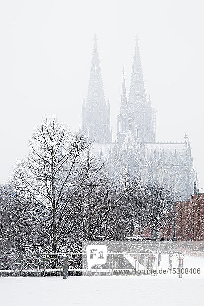 Kahle Bäume gegen den Kölner Dom bei Schneefall in der Stadt gegen den Himmel