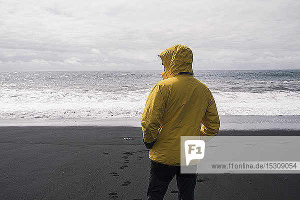 Ein erwachsener Mann an einem Lavastrand in Island  der auf das Meer schaut