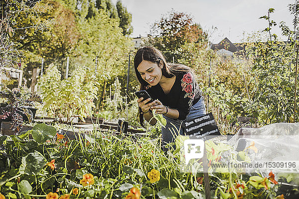 Glückliche junge Frau fotografiert mit Smartphone im Stadtgarten