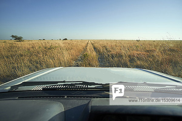 Car driving through savannah landscape  Makgadikgadi Pans  Botswana