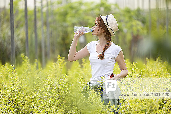 Beautiful young woman drinking water from bottle in the greenhouse